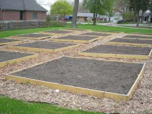 Newly turned plots in Community Garden